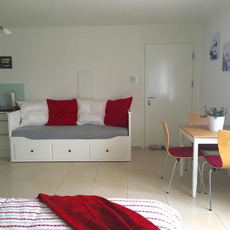 Charming Studio Near Rotsee Lucerne Kitchen/Wifi/Wasching Machine المظهر الخارجي الصورة