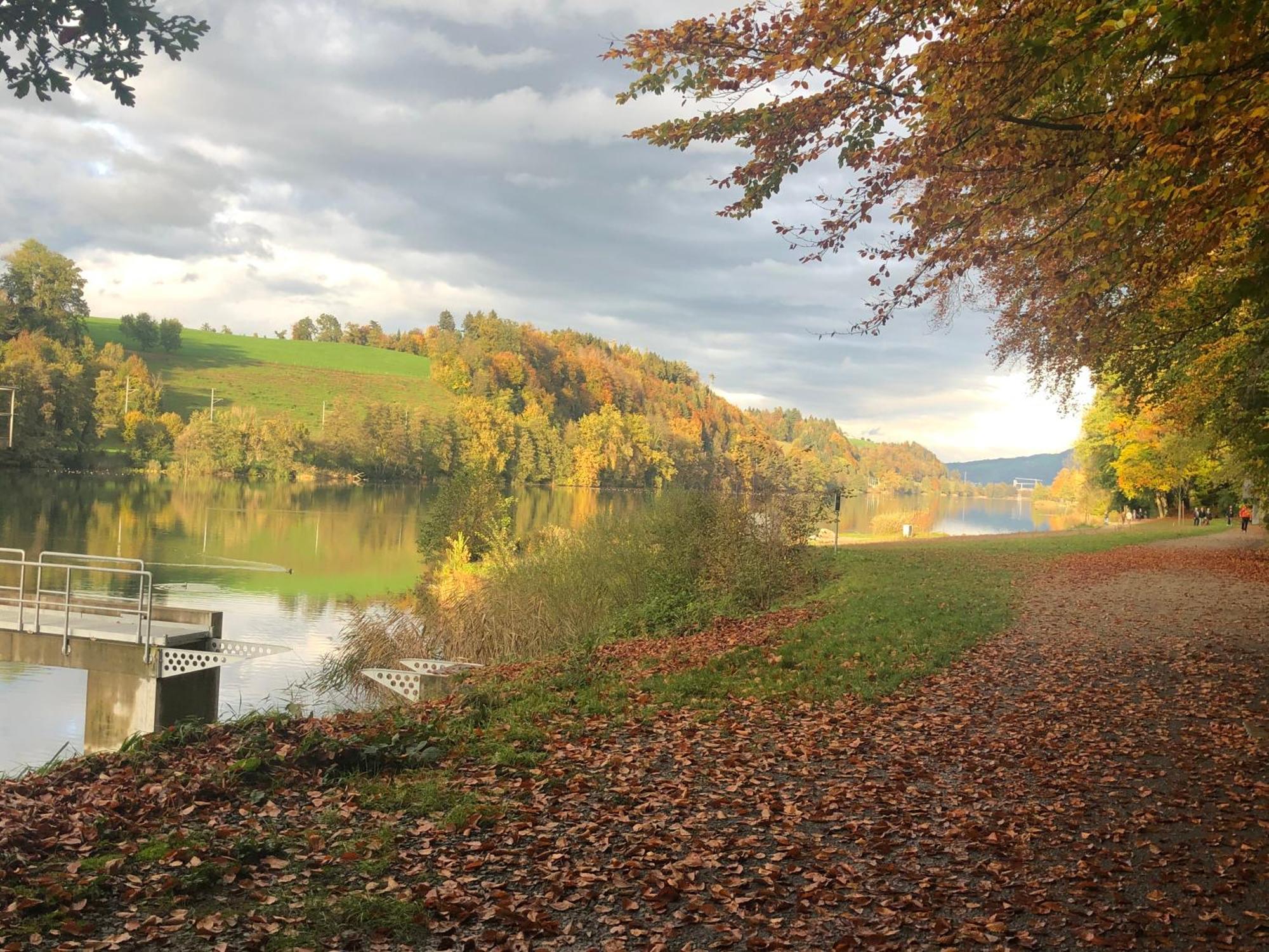 Charming Studio Near Rotsee Lucerne Kitchen/Wifi/Wasching Machine المظهر الخارجي الصورة