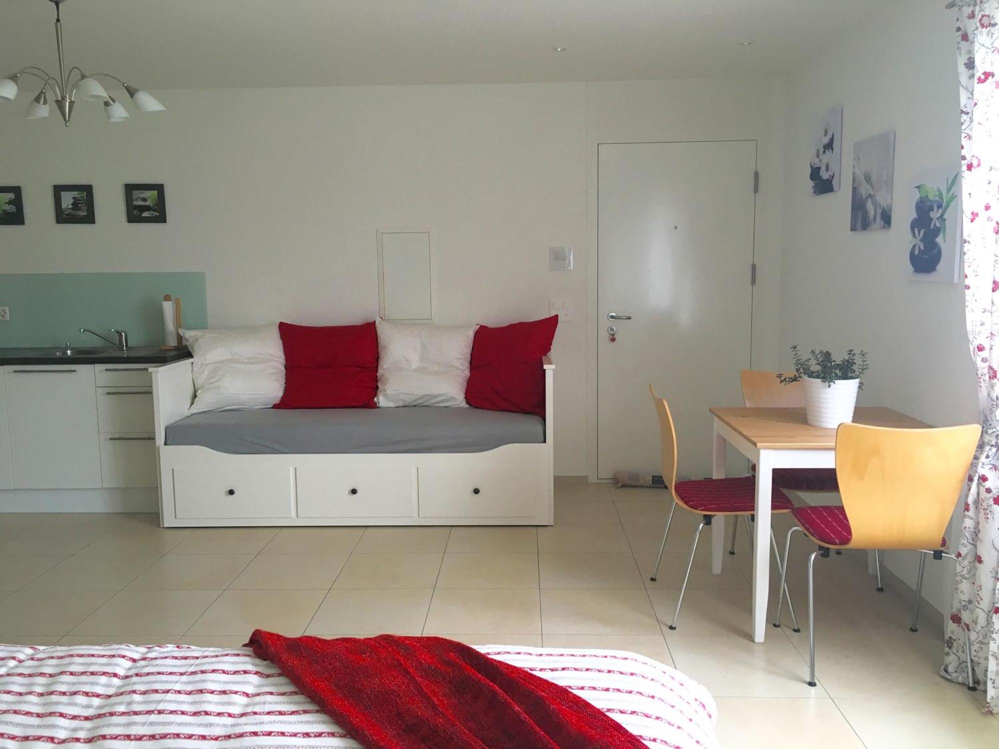 Charming Studio Near Rotsee Lucerne Kitchen/Wifi/Wasching Machine المظهر الخارجي الصورة