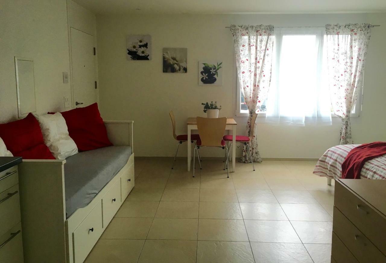 Charming Studio Near Rotsee Lucerne Kitchen/Wifi/Wasching Machine المظهر الخارجي الصورة