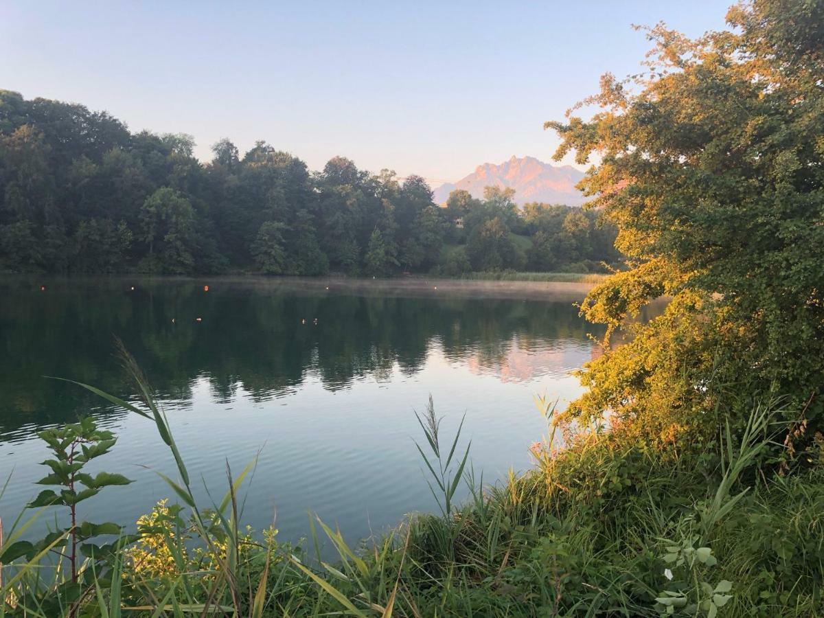 Charming Studio Near Rotsee Lucerne Kitchen/Wifi/Wasching Machine المظهر الخارجي الصورة
